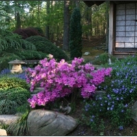 natural-stones-sculptures-sculpture-garden-in-nc