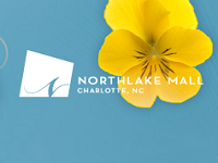 north-lake-mall-under-21-north-carolina
