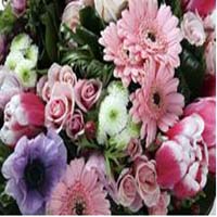 north-raleigh-florist-florists-nc