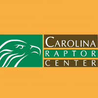 carolina-raptor-center-science-museums-nc