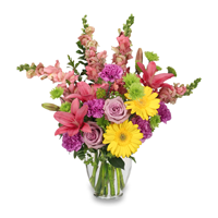 daniel's- florist-_florists_in_North_Carolina