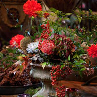 kelly- odom- flowers-_florists_in_North_Carolina