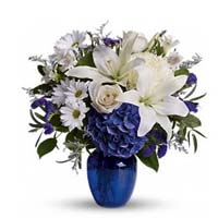 starclaire-house-of-flowers-florists-nc