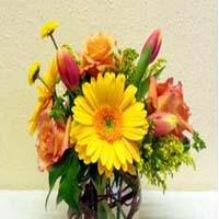 the-blossom-shop-florists-nc