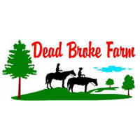 Dead Broke Farm Horseback Riding in NC