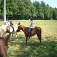 Horse Shadow Run Horseback Riding in NC