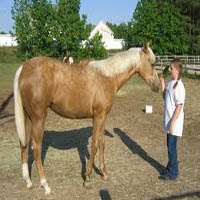 Painted Sunset Farm Horseback Riding in NC