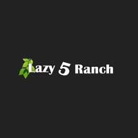 Lazy 5 Ranch Day Trips for Kids in NC